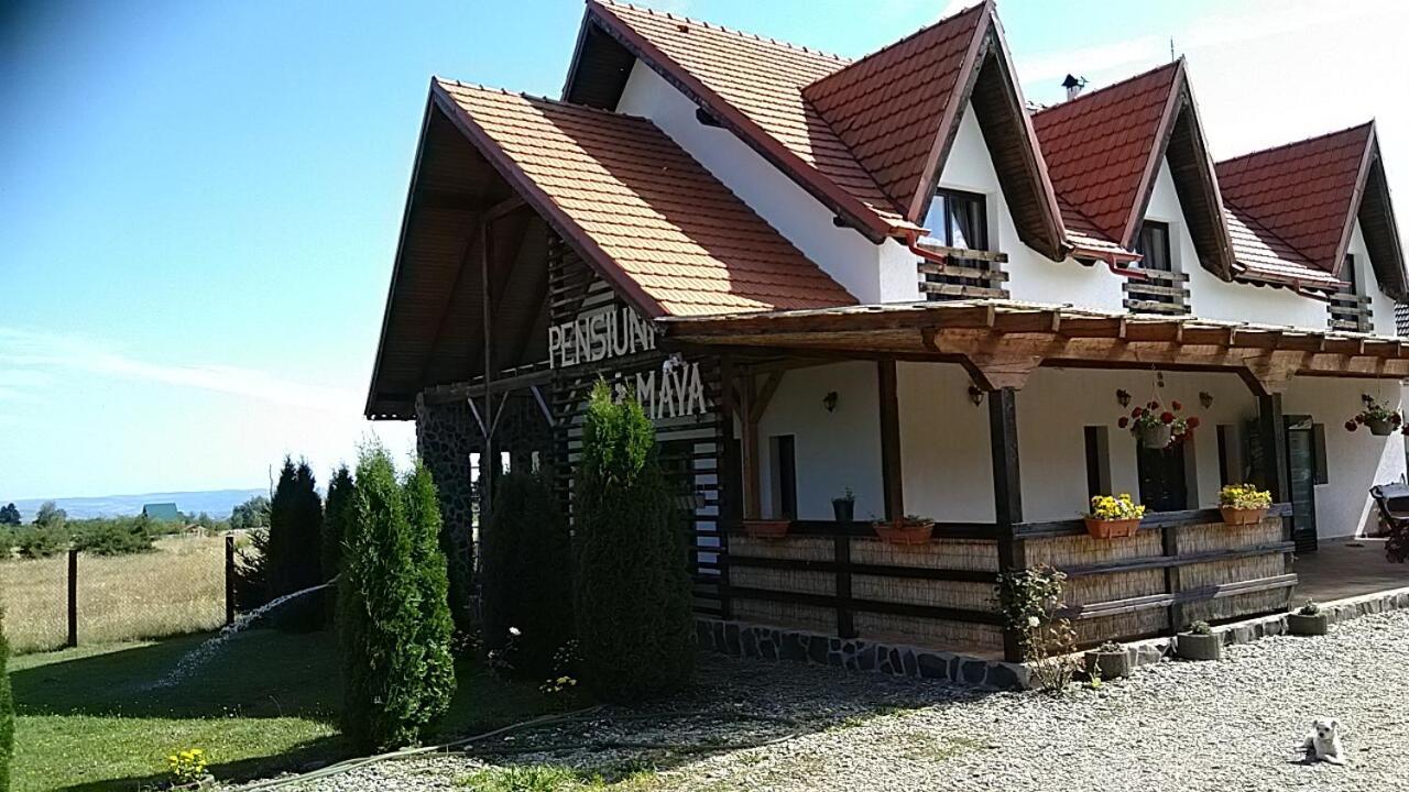 Pensiunea Maya Sîmbăta de Sus المظهر الخارجي الصورة