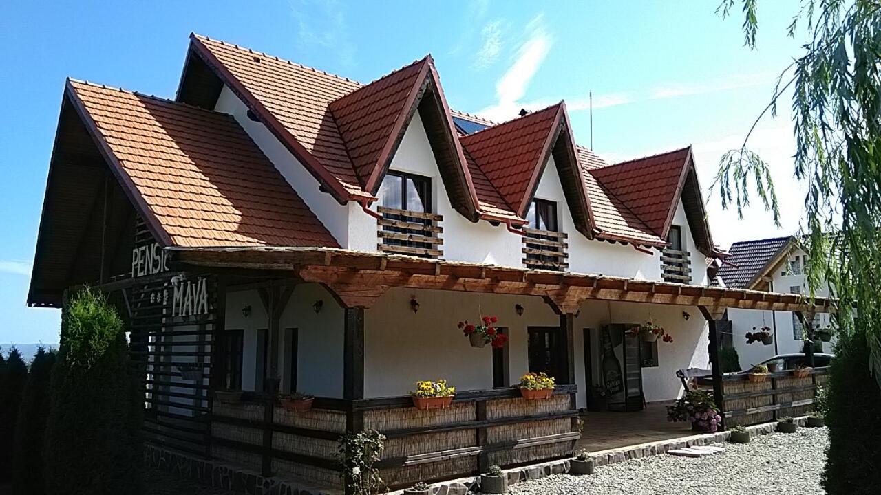 Pensiunea Maya Sîmbăta de Sus المظهر الخارجي الصورة