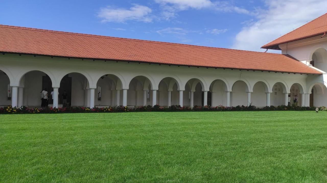 Pensiunea Maya Sîmbăta de Sus المظهر الخارجي الصورة