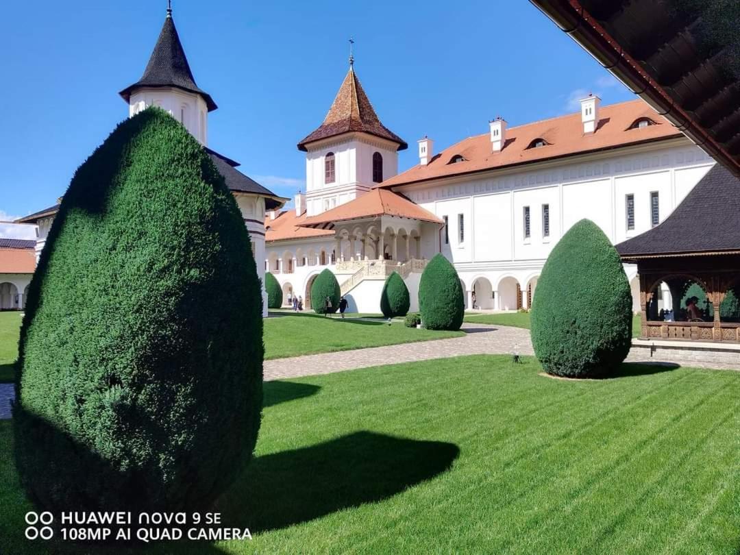 Pensiunea Maya Sîmbăta de Sus المظهر الخارجي الصورة