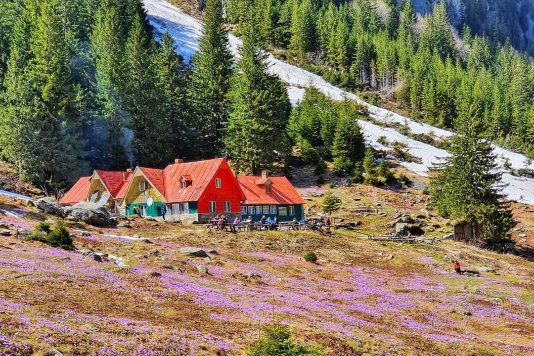 Pensiunea Maya Sîmbăta de Sus المظهر الخارجي الصورة